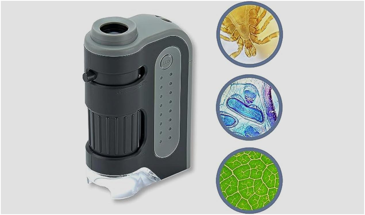 Carson MicroBrite Plus 60x-120x Pocket Microscope Reviews