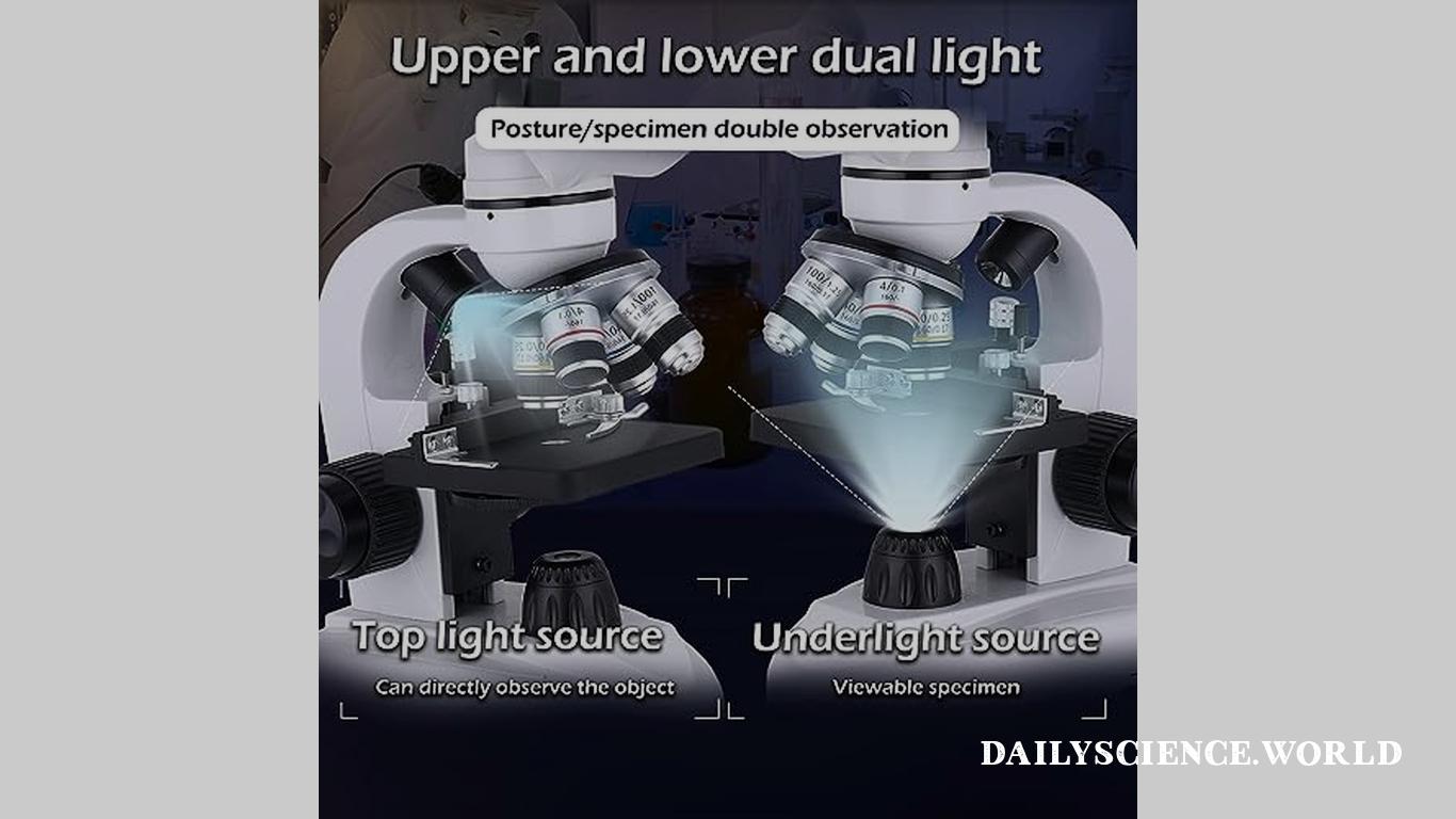 dual LED lighting system